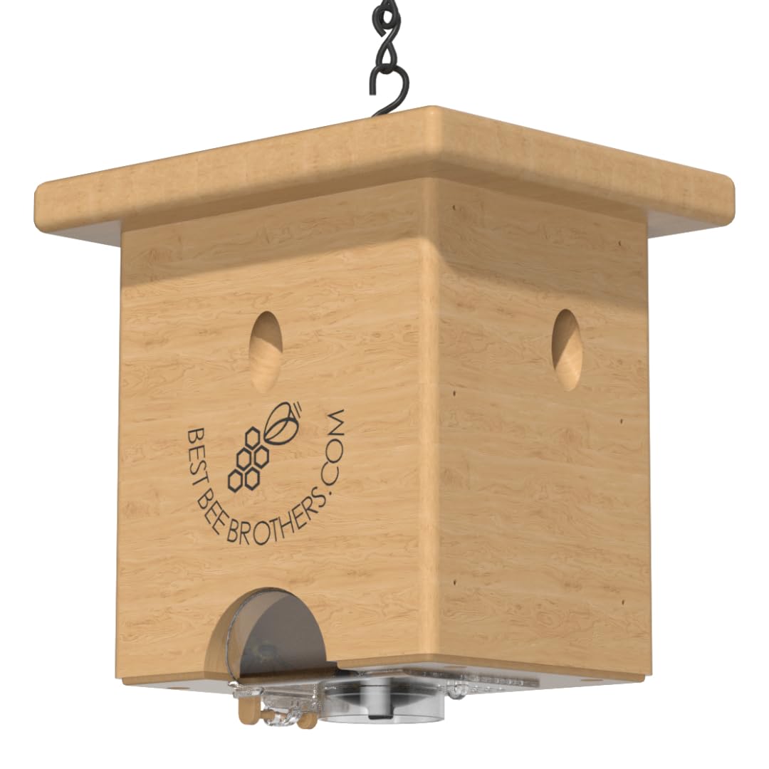 Amazon.com : Best Bee Brothers Pine Turbo Trap Carpenter Bee Trap